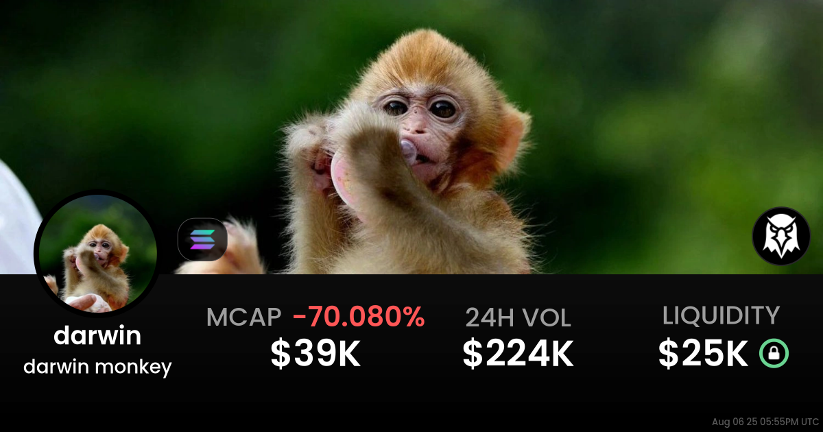 darwin monkey (darwin)