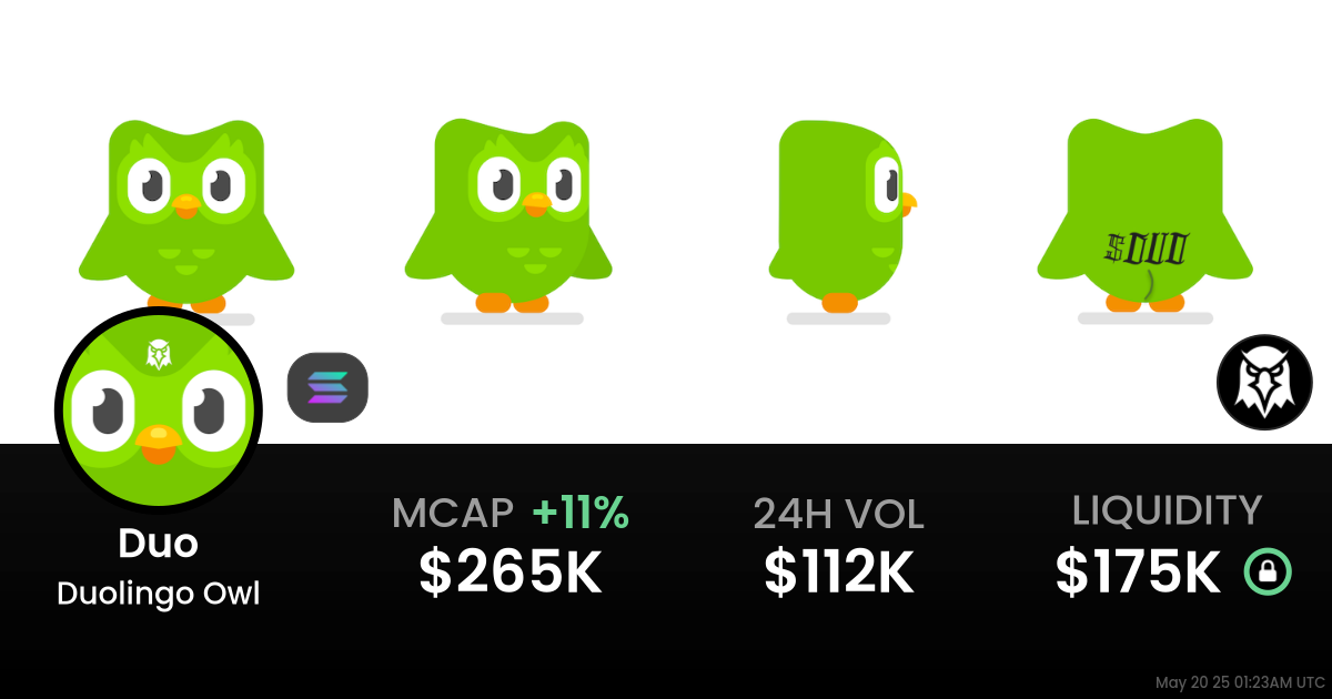 Duolingo Owl (Duo)