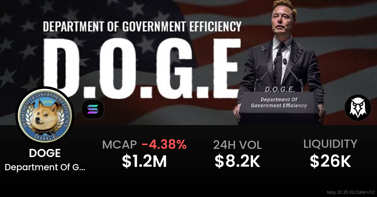 Department Of Governm (Wormhole) (DOGE)