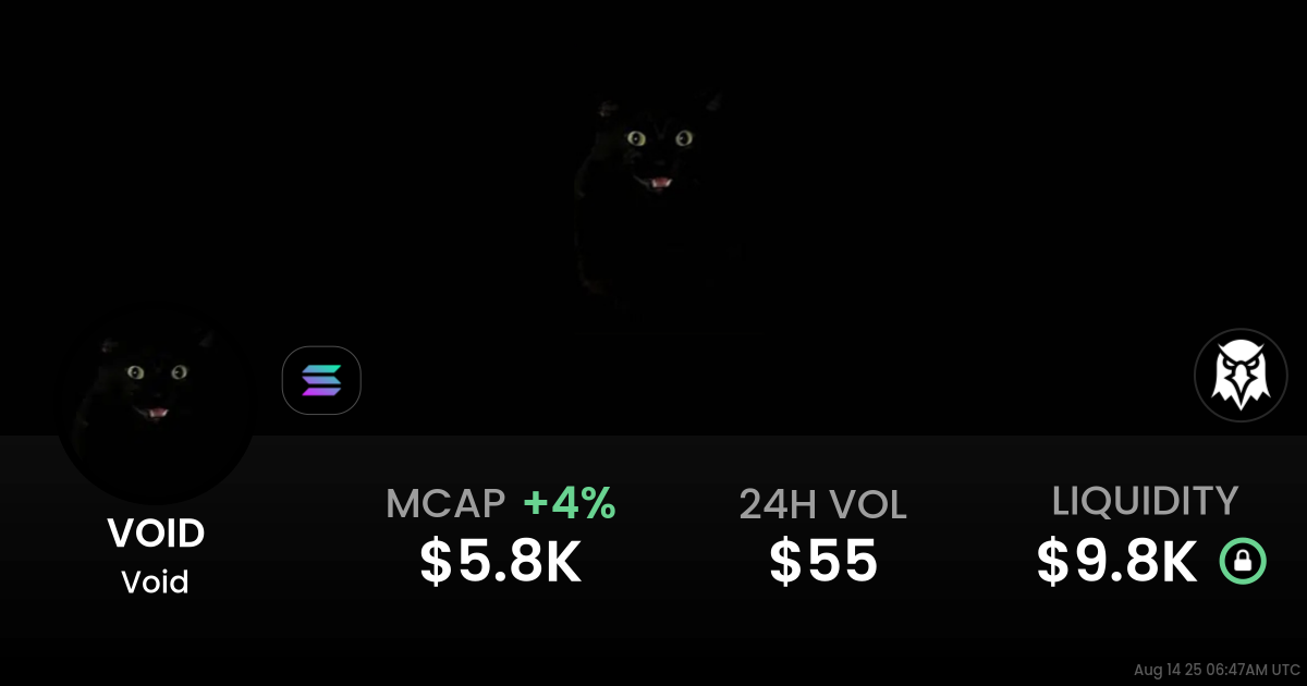 Void (VOID)