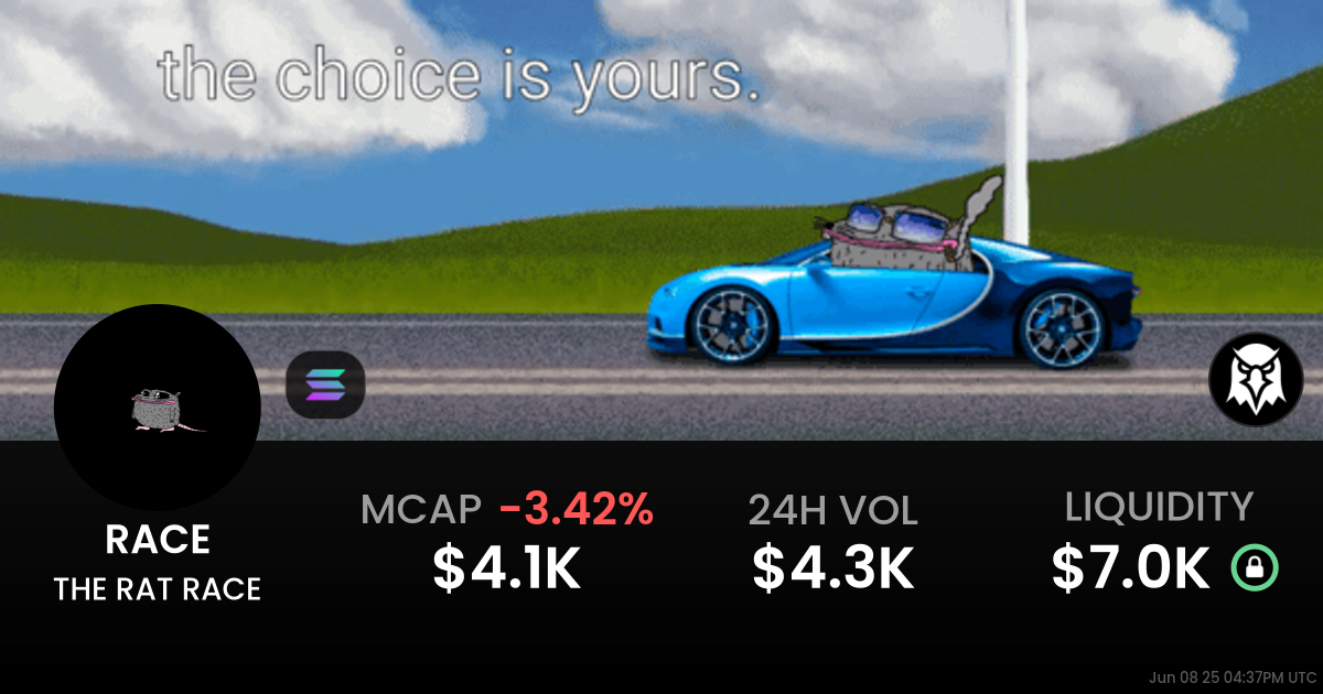 THE RAT RACE (RACE)