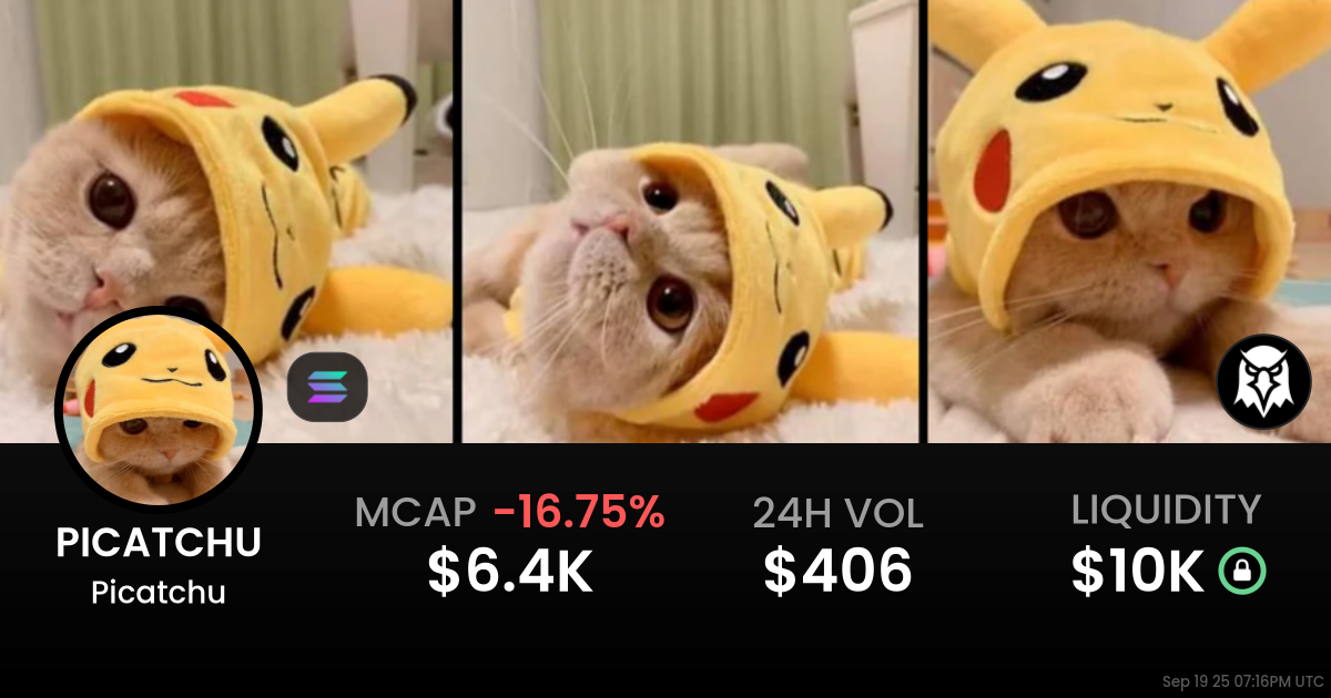Picatchu (PICATCHU)